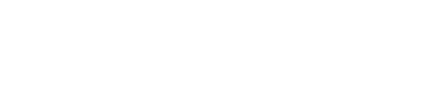 AltivaHost